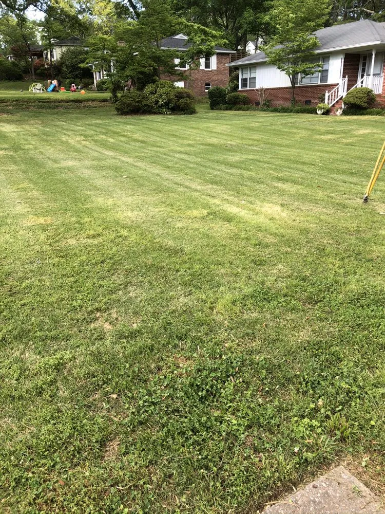 Reliable landscaping services in Austell, GA - Cut, Edge, & Blow