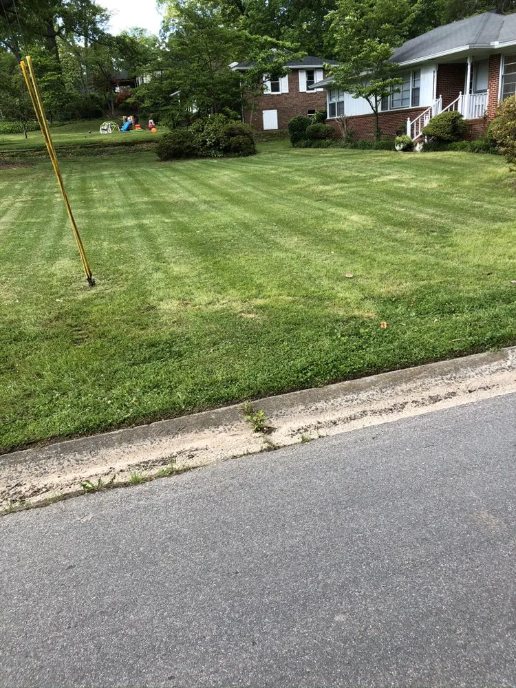 Top-rated landscape installation for residential properties across Austell, GA - Cut, Edge, & Blow