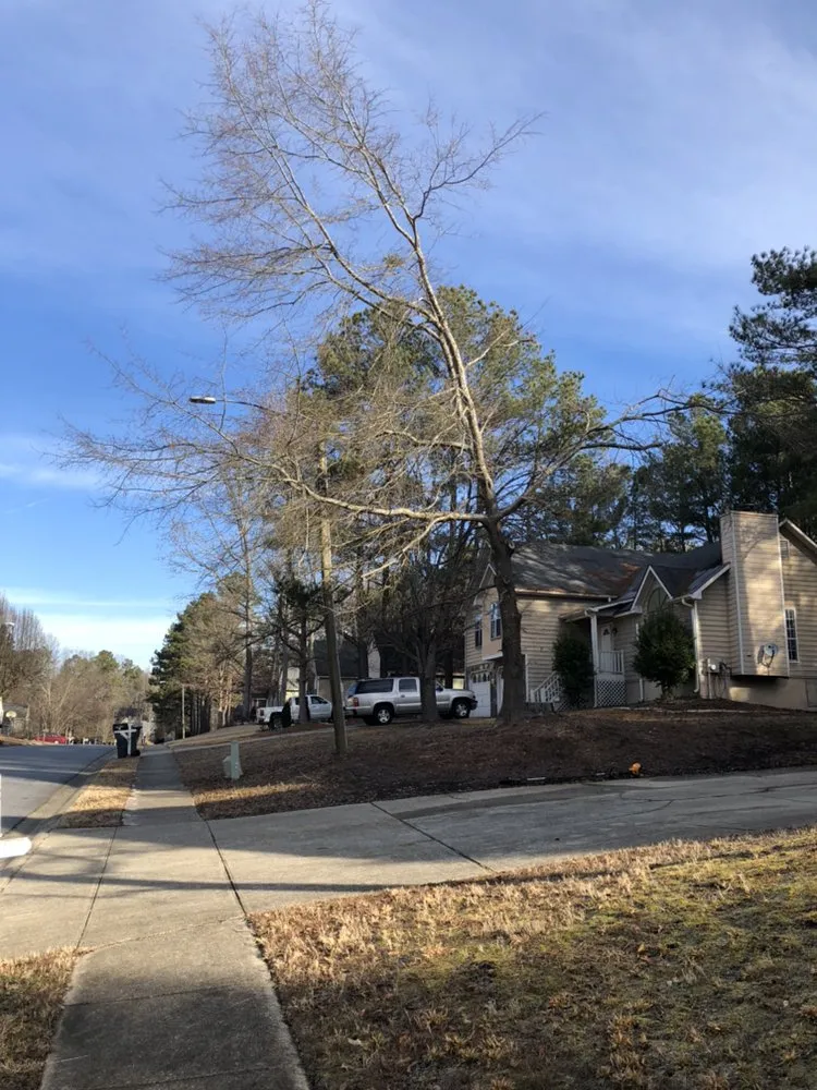 Expert outdoor landscaping experts serving Austell, GA - Cut, Edge, & Blow