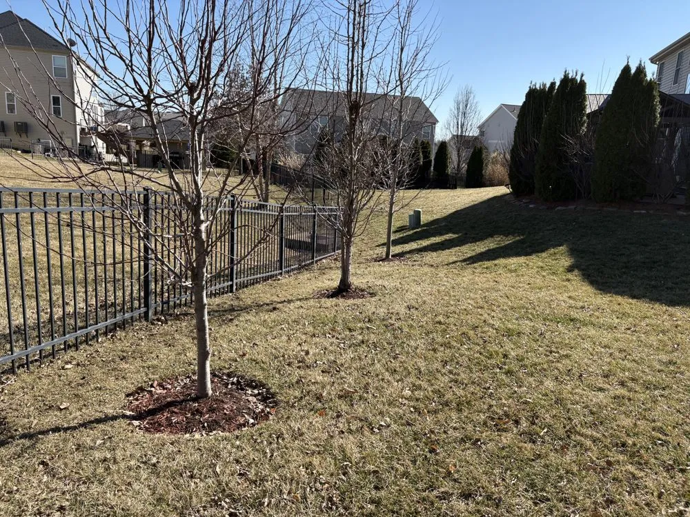 Expert lawn care service for beautiful yards in Winfield, MO by Cut For The Cure Lawncare