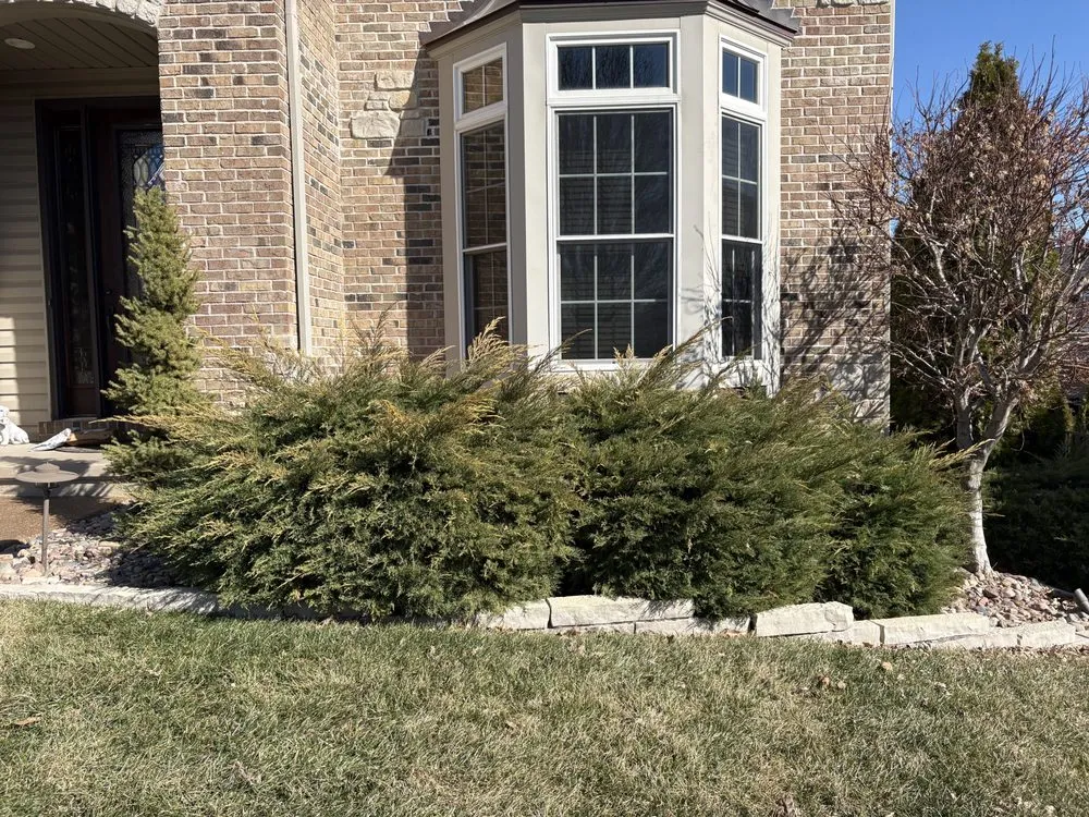 Top-rated lawn care service in Winfield, MO - Cut For The Cure Lawncare