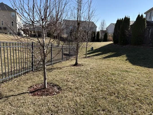 Cut For The Cure Lawncare Logo