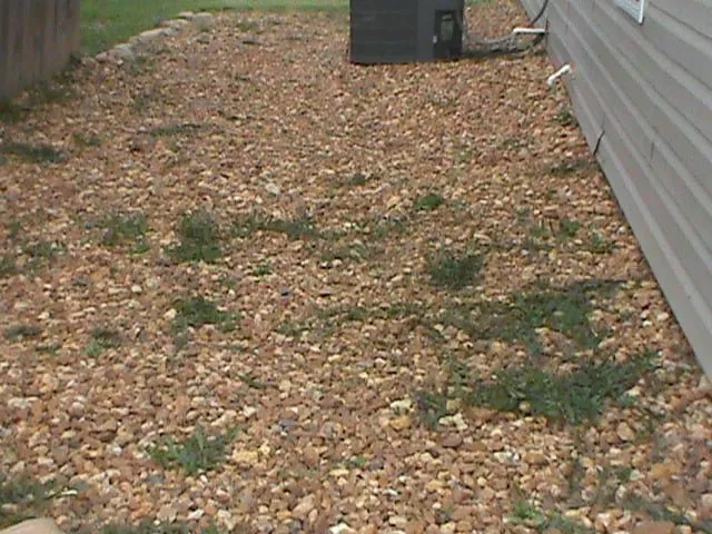 Top-rated yard maintenance near you in Rome, GA by Cut Grass and Lawn Care