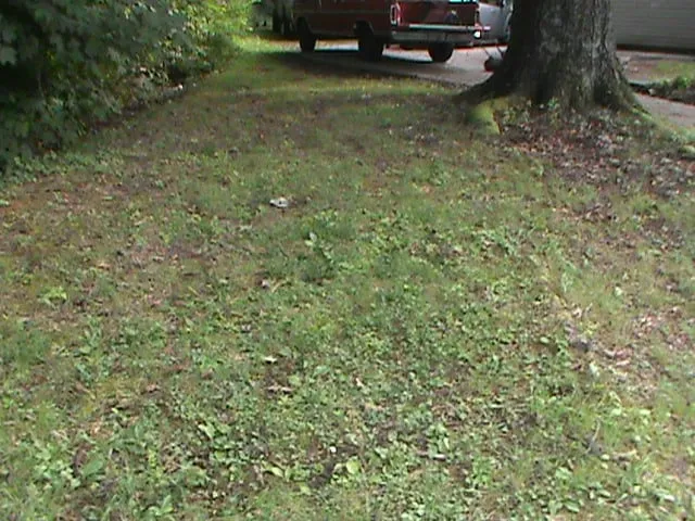 Top-rated landscape installation with custom design in Rome, GA by Cut Grass and Lawn Care