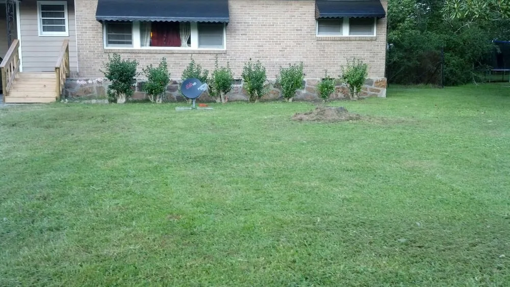Professional yard maintenance for year-round maintenance in Rome, GA by Cut Grass and Lawn Care