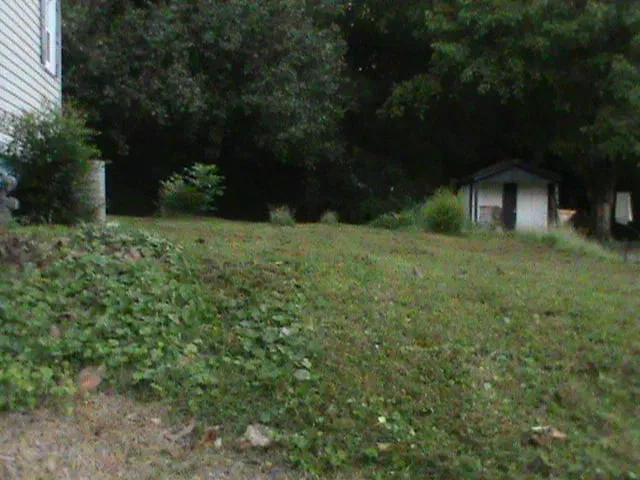 Top-rated landscape installation in Rome, GA by Cut Grass and Lawn Care