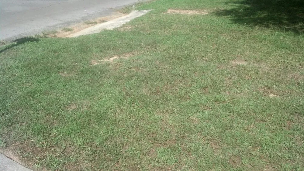 Affordable outdoor landscaping for homes across Rome, GA - Cut Grass and Lawn Care