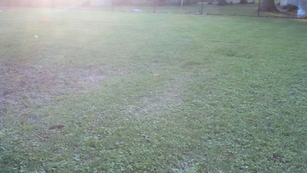 Reliable garden landscaping in Rome, GA - Cut Grass and Lawn Care