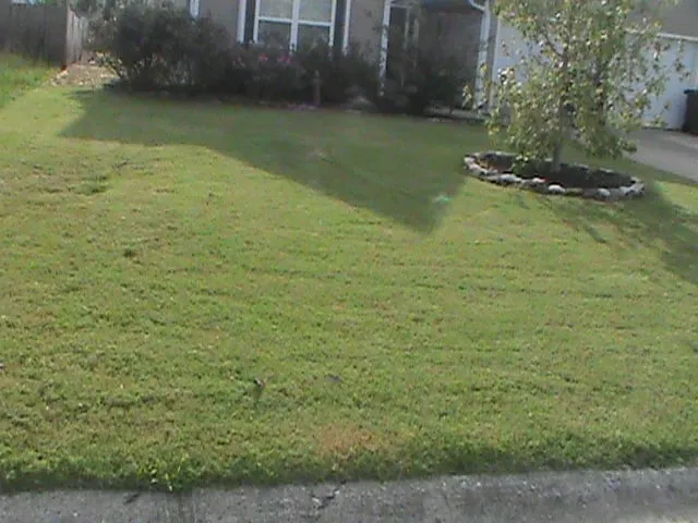 Top-rated landscaping services in Rome, GA by Cut Grass and Lawn Care