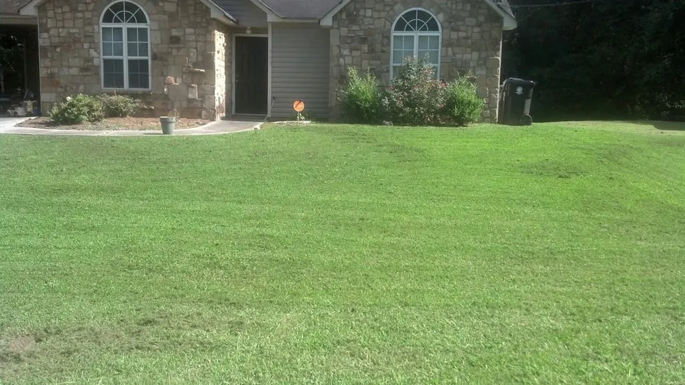 Expert yard cleanup service for homes in Rome, GA by Cut Grass and Lawn Care