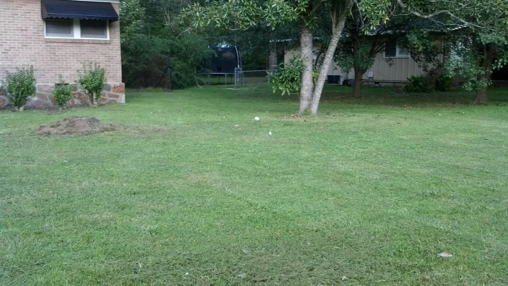 Affordable landscape design in Rome, GA - Cut Grass and Lawn Care