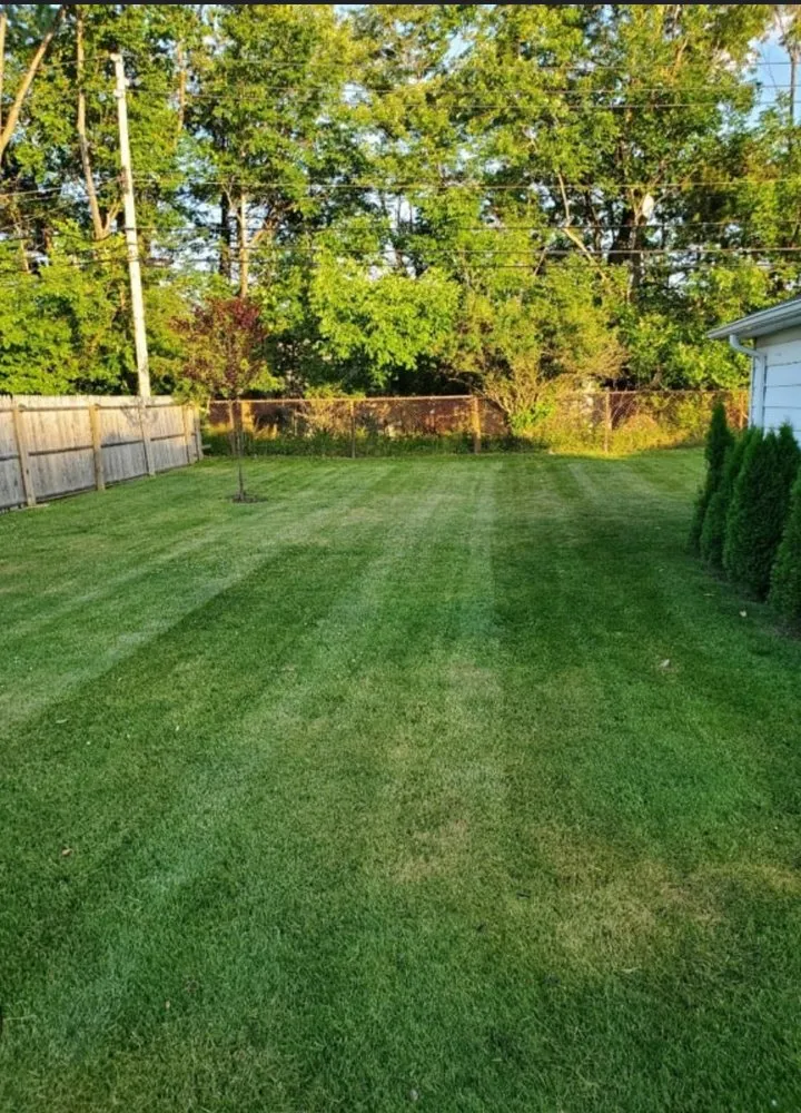 Local landscape installation in Hopkins, MN - Cut Grass For Cash