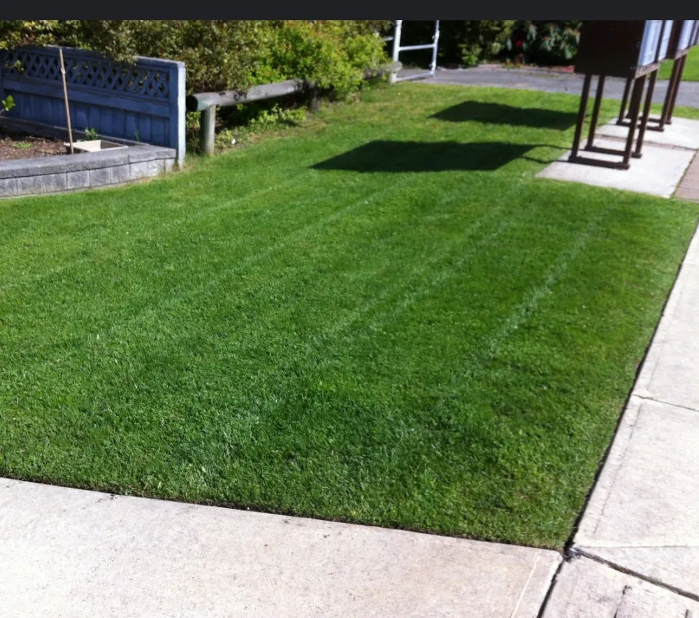 Trusted yard cleanup service experts serving Hopkins, MN - Cut Grass For Cash