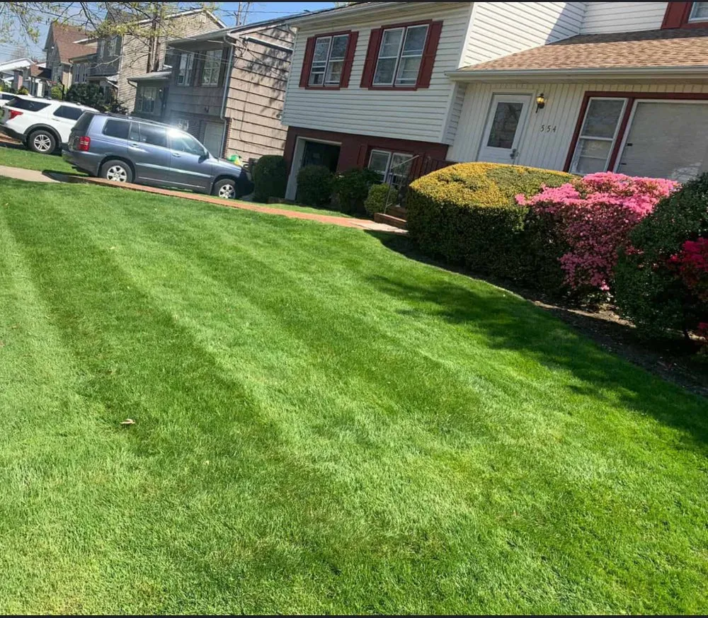 Expert lawn mowing service in Hopkins, MN - Cut Grass For Cash