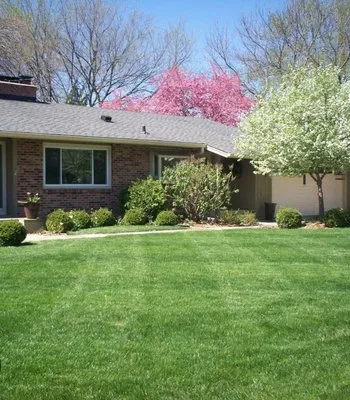 Cut Grass For Cash Logo