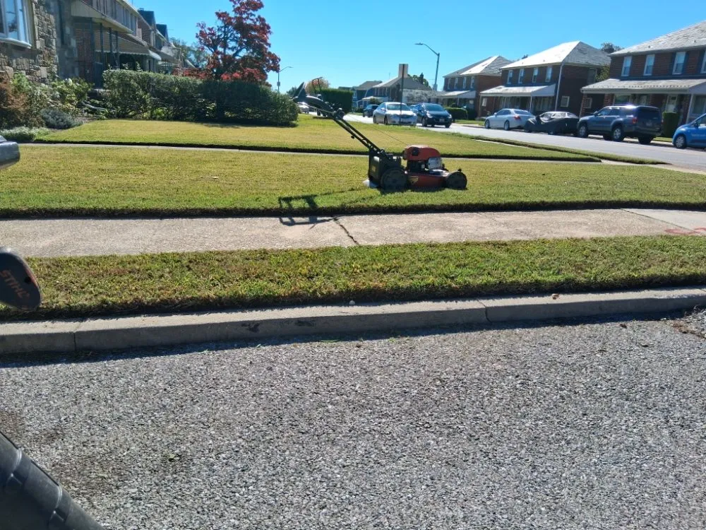 Expert landscape installation in Raspeburg, MD by Cut Grass Landscaping