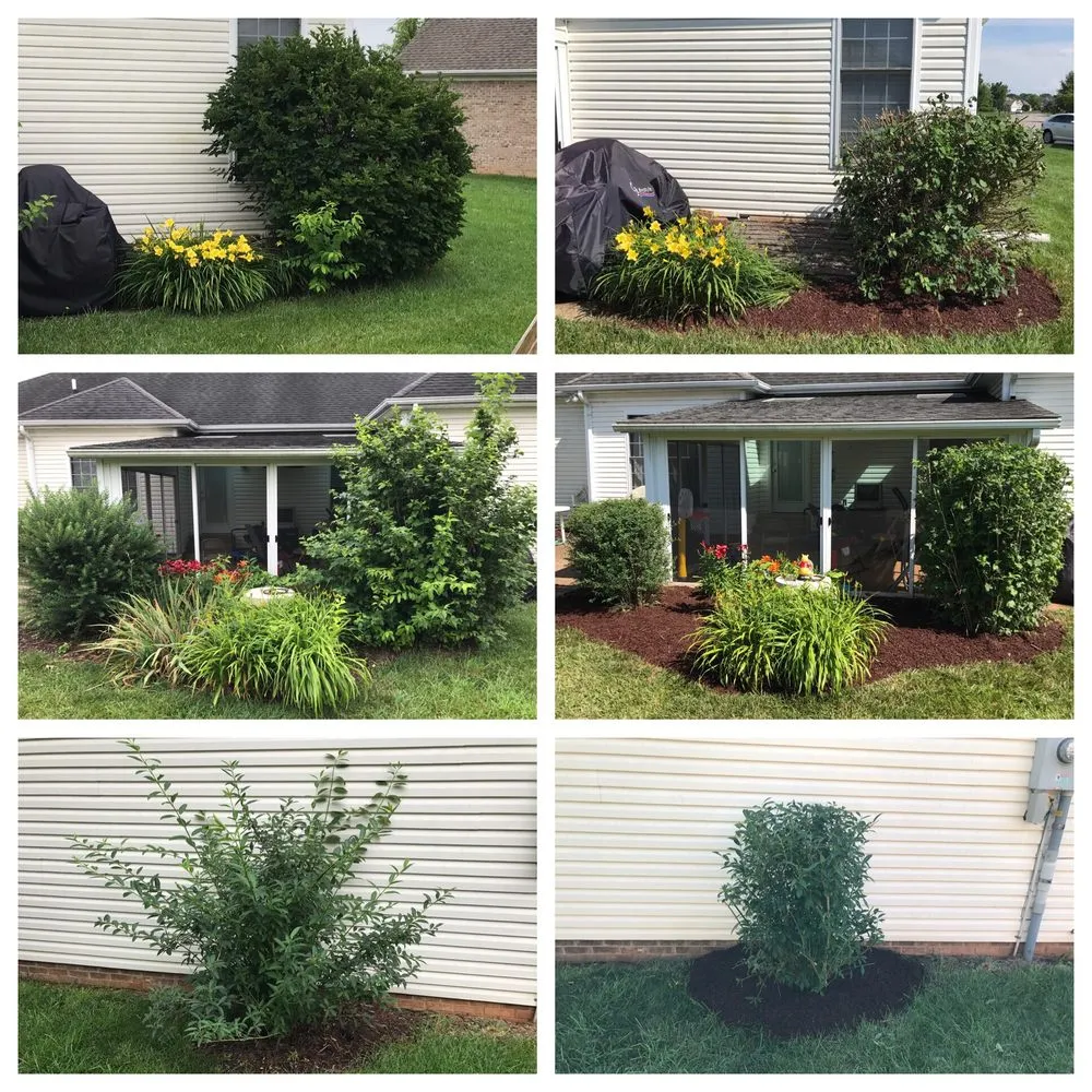 Local yard cleanup service with custom design in Bowling Green, KY by Cut In Time Lawn Care