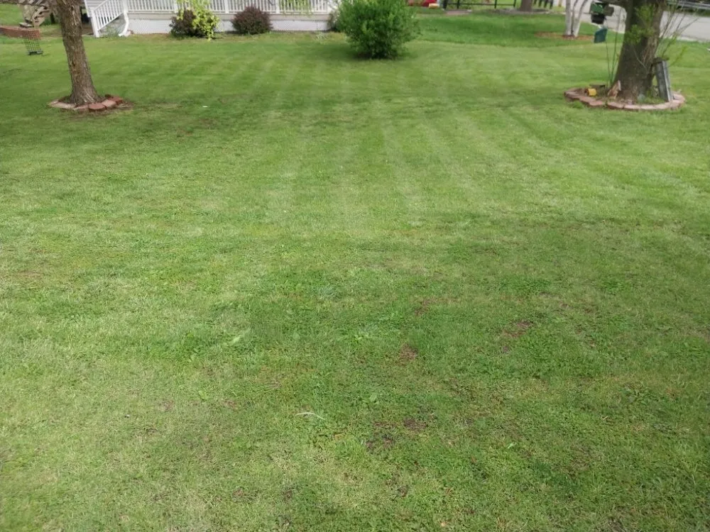 Local lawn mowing service in Savannah, MO - Cut It All Lawn care