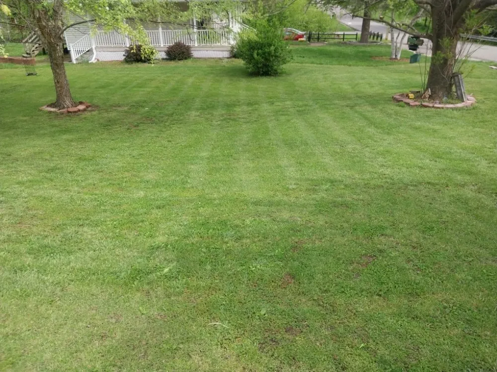 Expert outdoor landscaping in Savannah, MO by Cut It All Lawn care