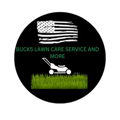 Cut It All Lawn care