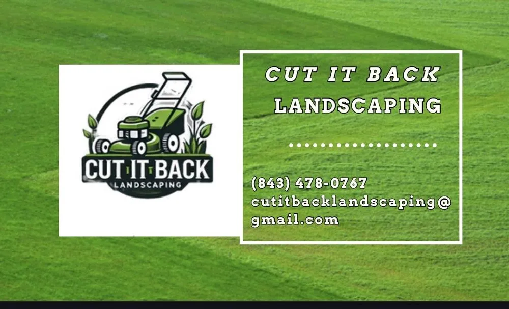 Custom landscape design for homes across Goose Creek, SC - Cut It Back Landscaping