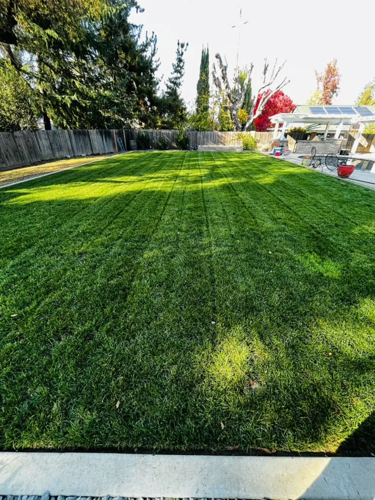 Reliable landscaping services for year-round maintenance in Citrus Heights, CA by Cut It Green Lawn Care
