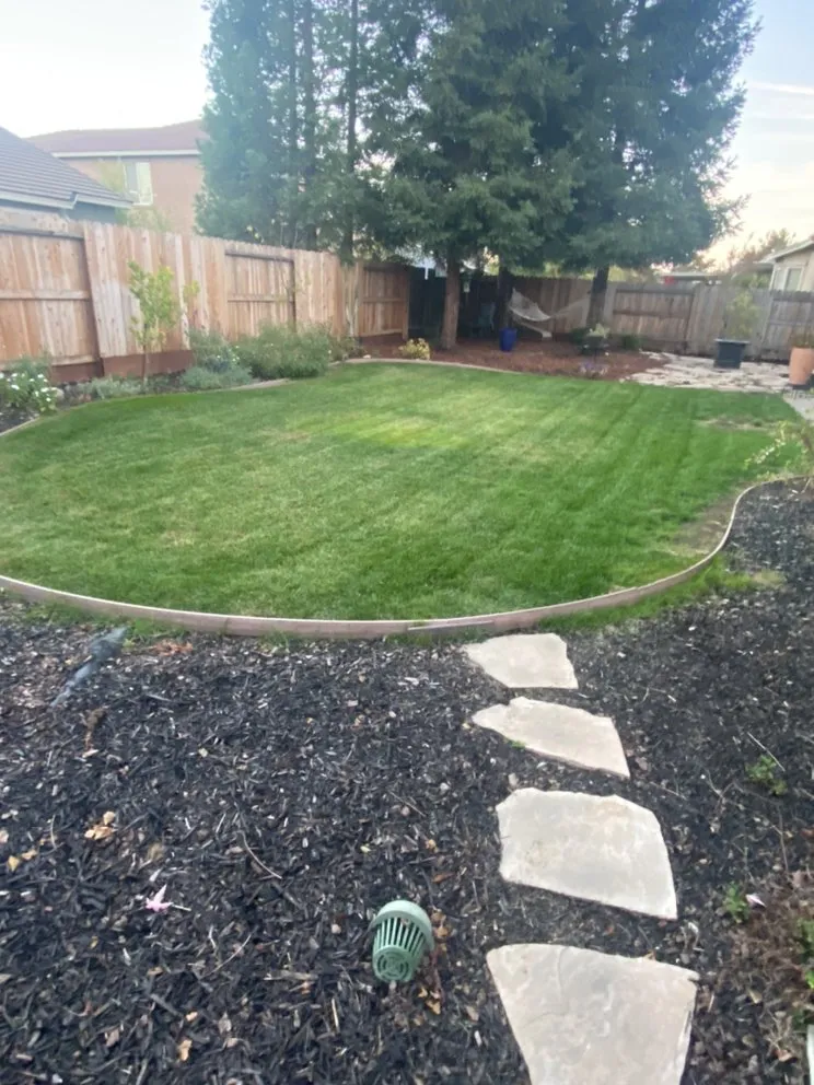Trusted landscaping services in Citrus Heights, CA by Cut It Green Lawn Care