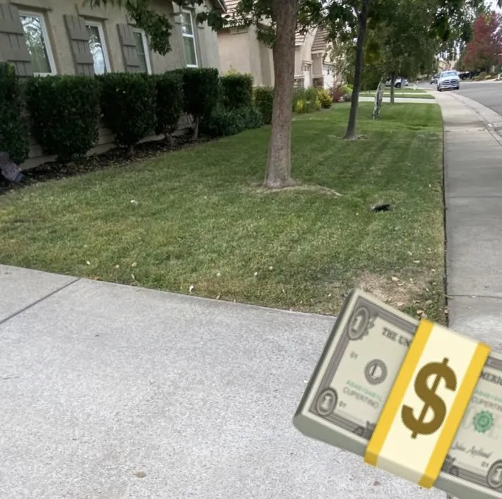 Expert outdoor landscaping for year-round maintenance across Citrus Heights, CA - Cut It Green Lawn Care