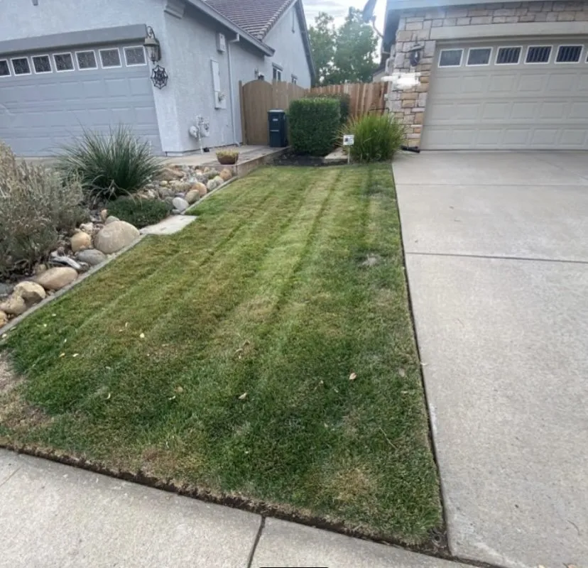 Local lawn mowing service in Citrus Heights, CA by Cut It Green Lawn Care