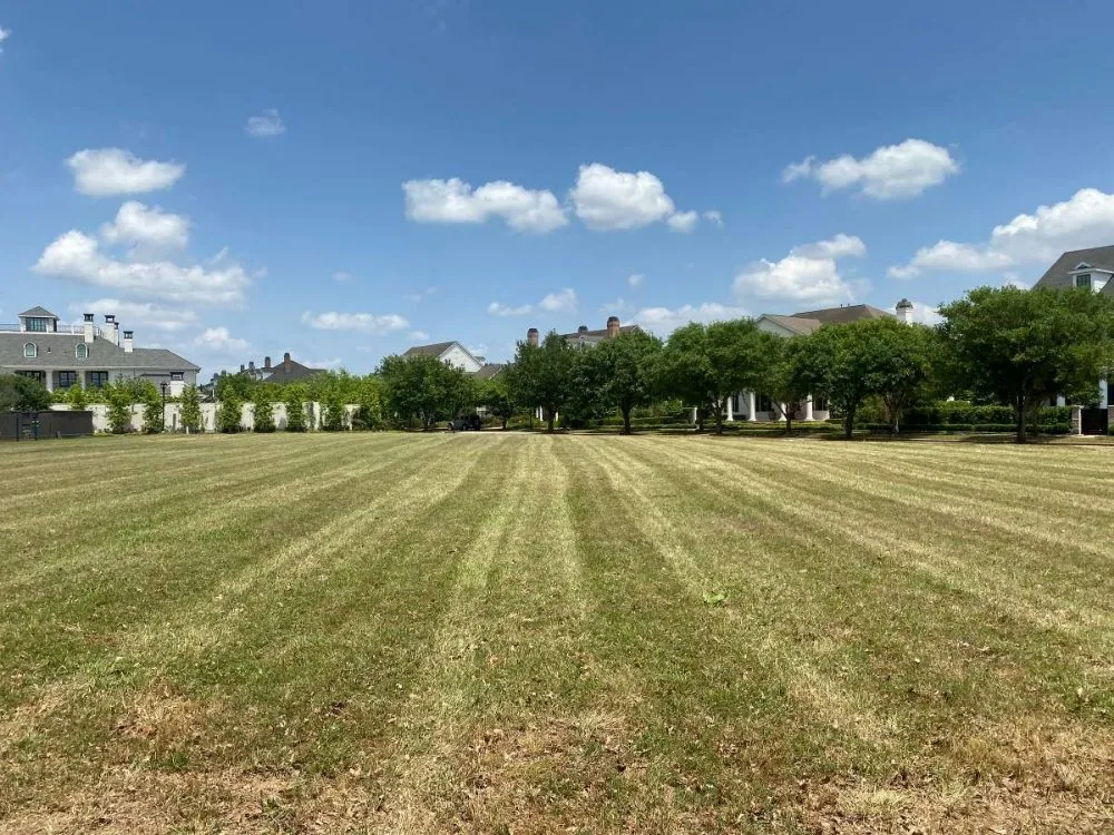 Expert landscape installation in Missouri City, TX - Cut it landscaping