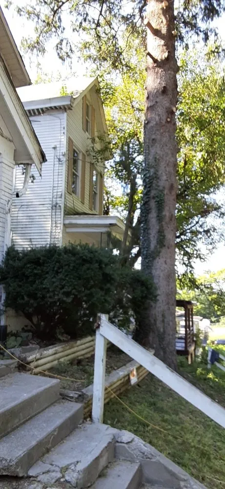 Local lawn care service in Wilmington, OH - Cut it Lawn Care and Tree Services