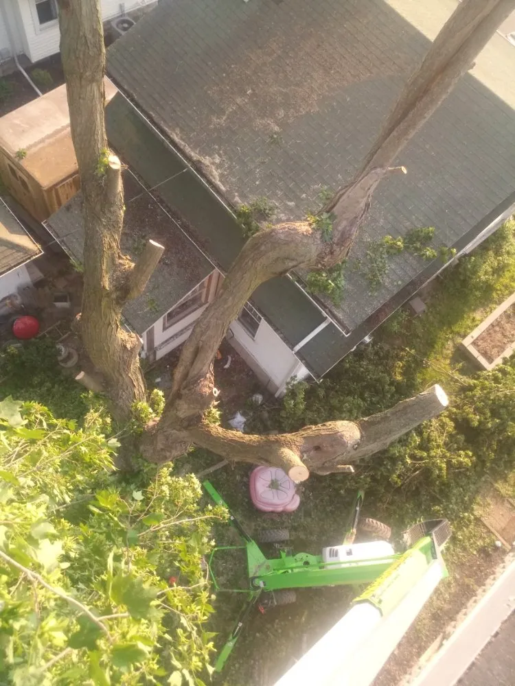 Custom residential landscaping with custom design across Wilmington, OH - Cut it Lawn Care and Tree Services