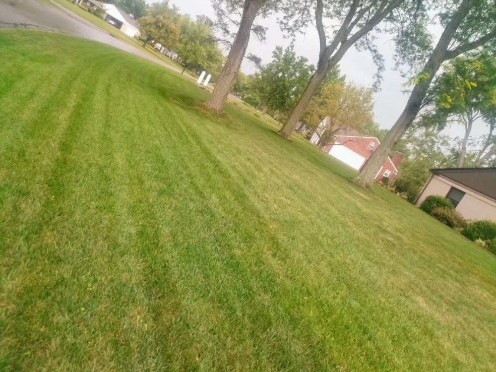 Custom residential landscaping in Wilmington, OH by Cut it Lawn Care and Tree Services