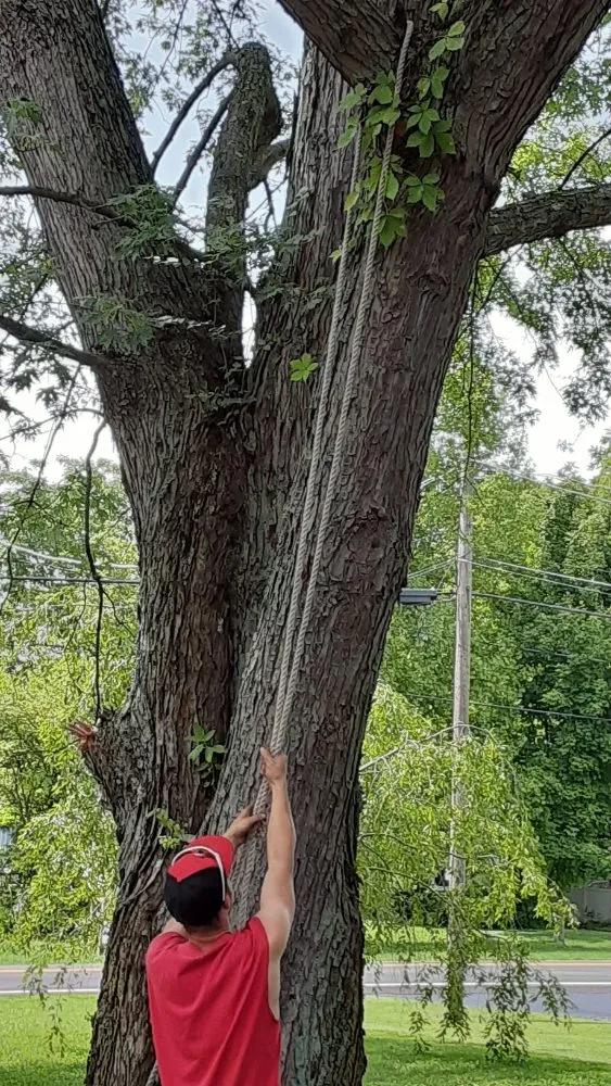 Reliable garden landscaping near you across Wilmington, OH - Cut it Lawn Care and Tree Services