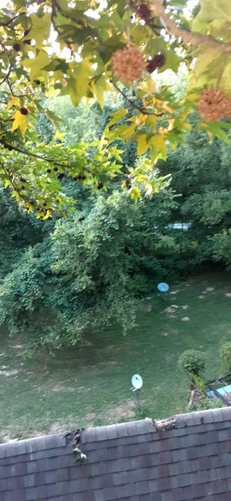 Trusted landscaping services in Wilmington, OH - Cut it Lawn Care and Tree Services