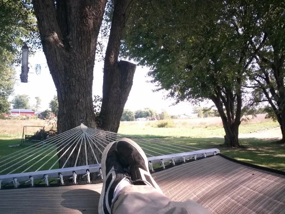 Trusted lawn mowing service for year-round maintenance across Wilmington, OH - Cut it Lawn Care and Tree Services