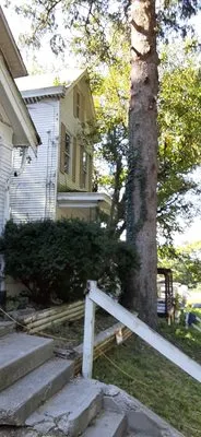 Cut it Lawn Care and Tree Services Logo