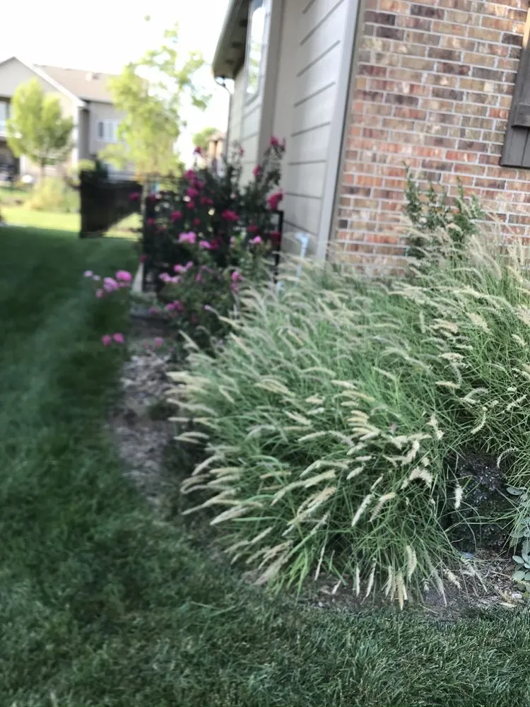Expert outdoor landscaping for beautiful yards across Derby, KS - Cut It My Way Lawn Care