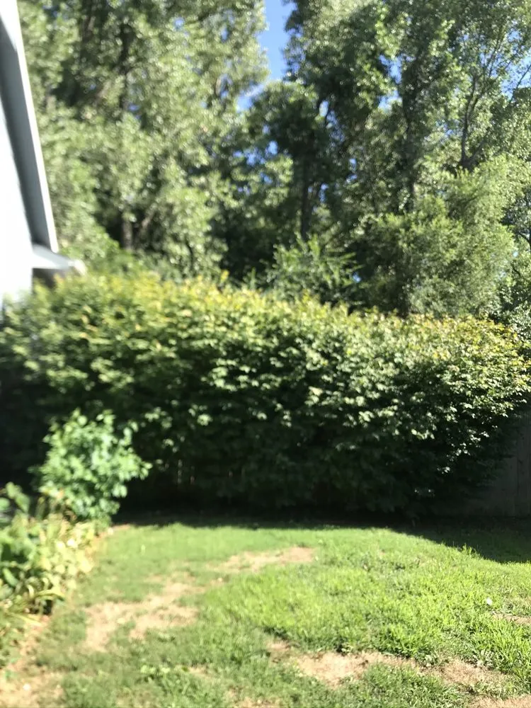 Top-rated residential landscaping experts serving Derby, KS - Cut It My Way Lawn Care