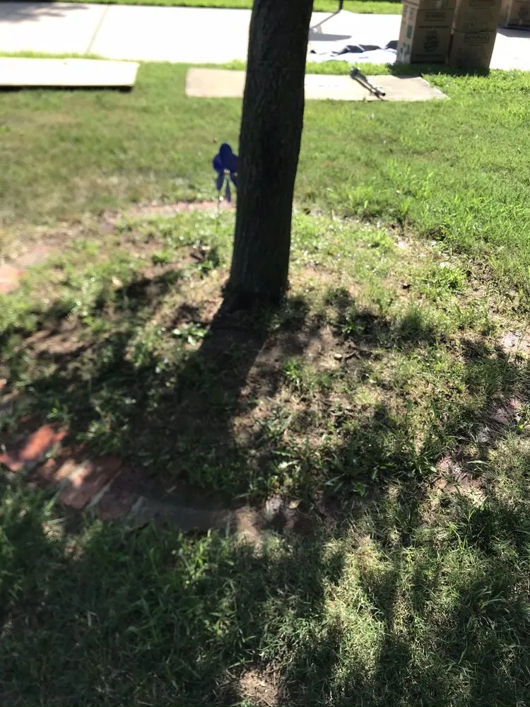 Affordable yard cleanup service near you in Derby, KS by Cut It My Way Lawn Care