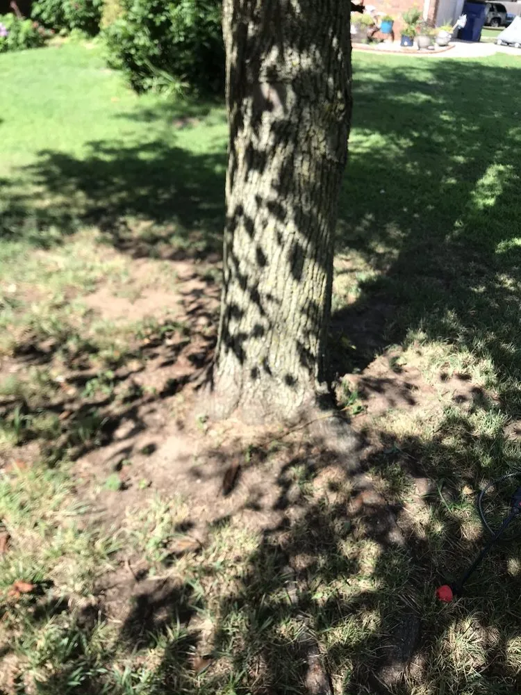 Custom lawn mowing service experts serving Derby, KS - Cut It My Way Lawn Care