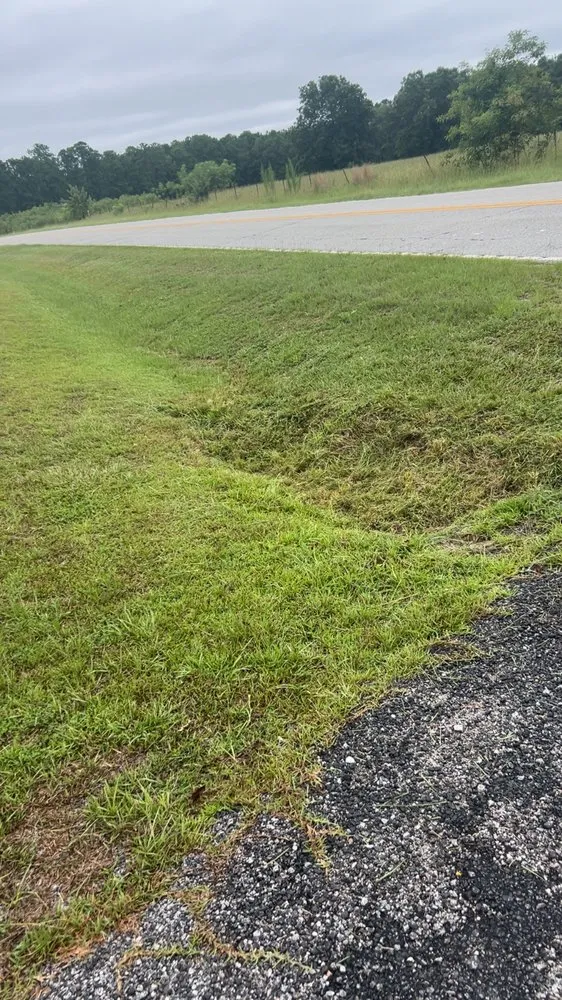 Expert landscape installation experts serving Elgin, SC - Cut it Right Lawn Care and Services