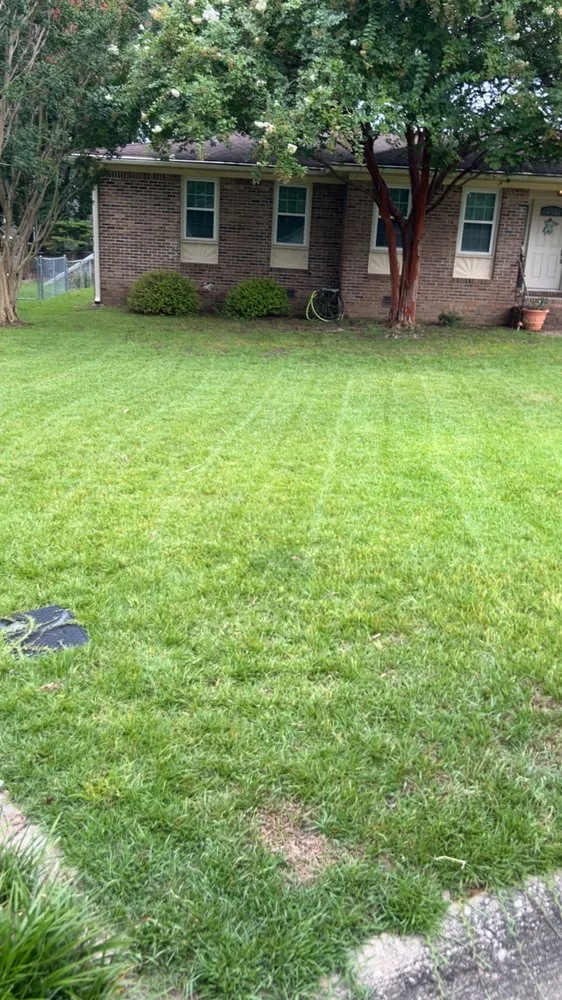 Local yard maintenance in Elgin, SC - Cut it Right Lawn Care and Services