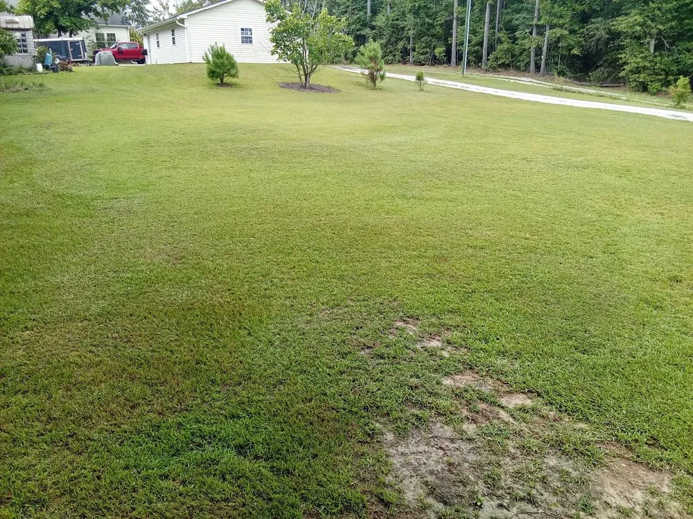 Local yard maintenance for outdoor upgrades across Elgin, SC - Cut it Right Lawn Care and Services