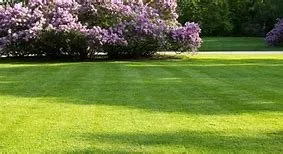 Reliable landscape design for residential properties in Sumter, SC by Cut It Right MJ