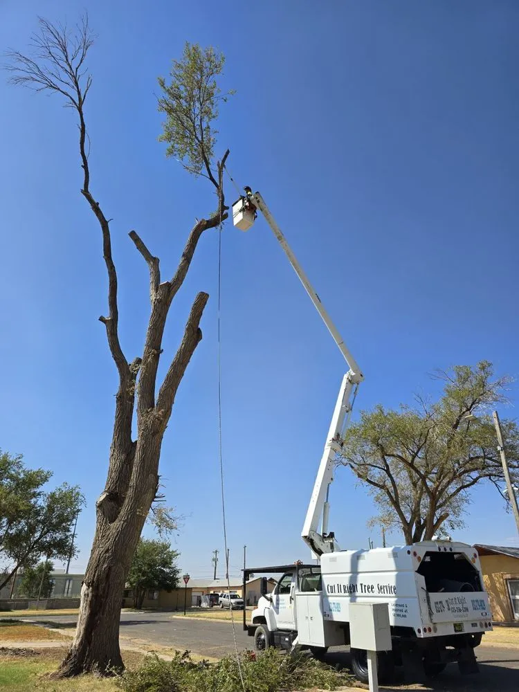 Local landscaping services for residential properties across Floyd, NM - Cut It Right Tree Service & Landscaping