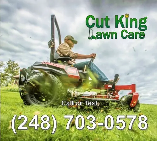 Top-rated yard maintenance for year-round maintenance across Royal Oak, MI - Cut King Lawn Care
