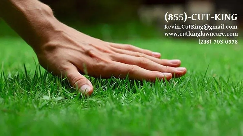 Local garden landscaping for homes in Royal Oak, MI by Cut King Lawn Care