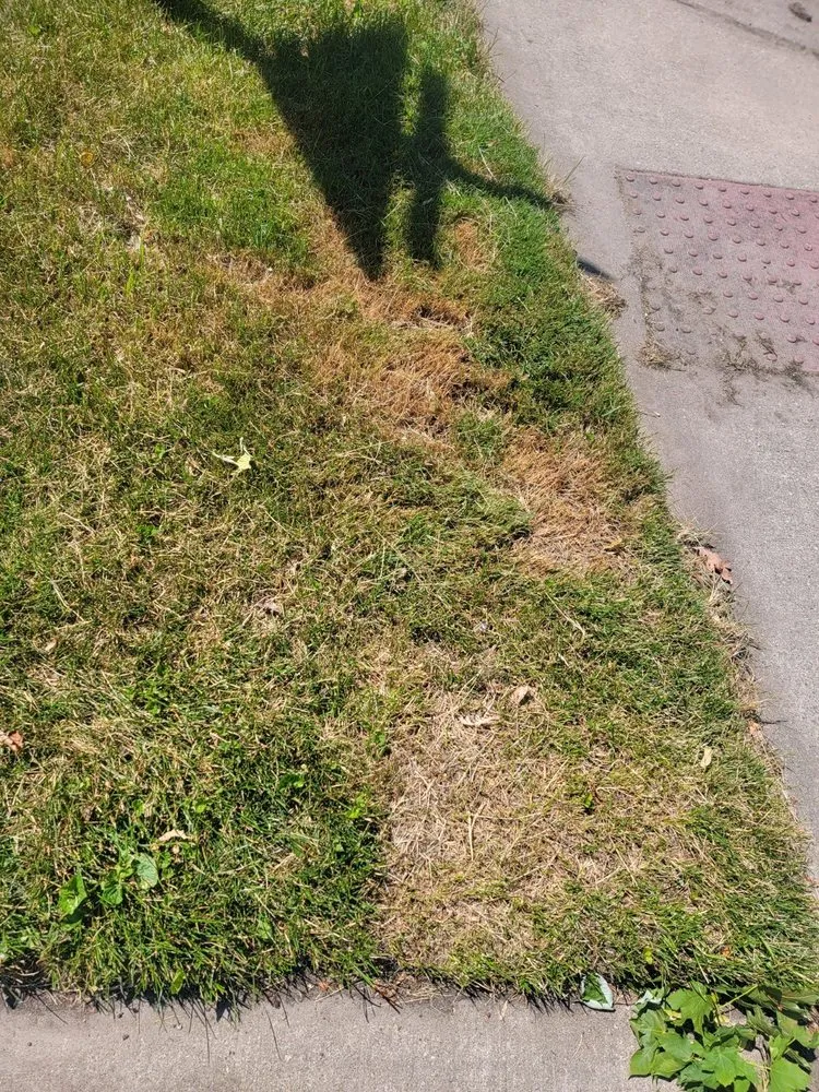 Affordable garden landscaping for residential properties across Royal Oak, MI - Cut King Lawn Care