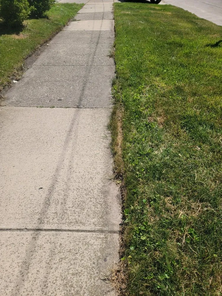 Local landscape installation in Royal Oak, MI by Cut King Lawn Care